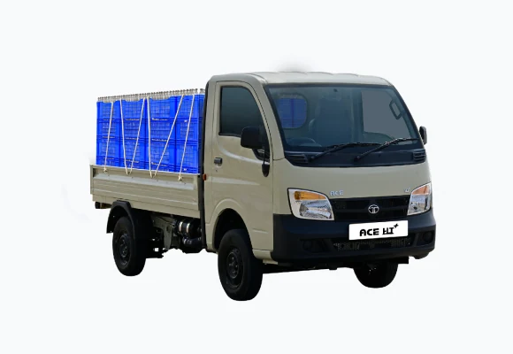 Ace HT+
